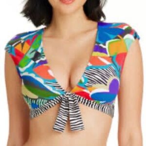 Bleu Rod Beattie Multicolor Tie-Front Bikini Top